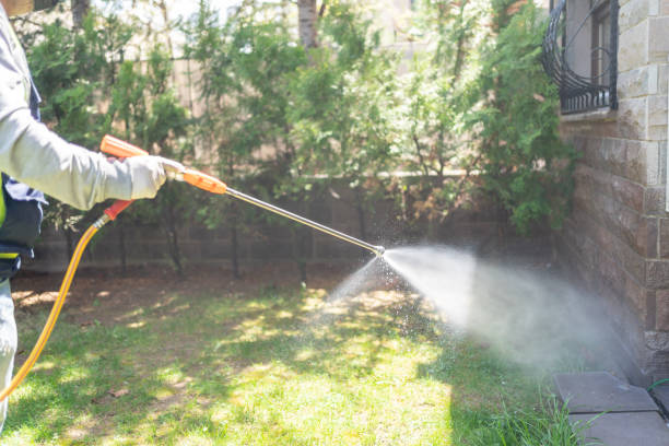 Professional Pest Control in Park Hills, MO